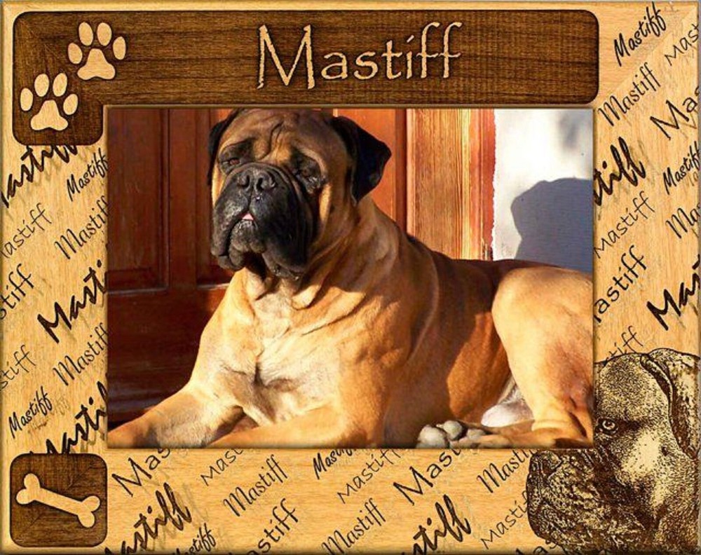 Mastiff Laser Engraved Wood Picture Frame (4 x 6)