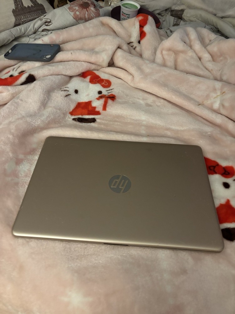 2021 HP Touch 14'' HD Laptop Intel 2-Core CPU 8GB RAM 128GB (64+64) Win11 Rose