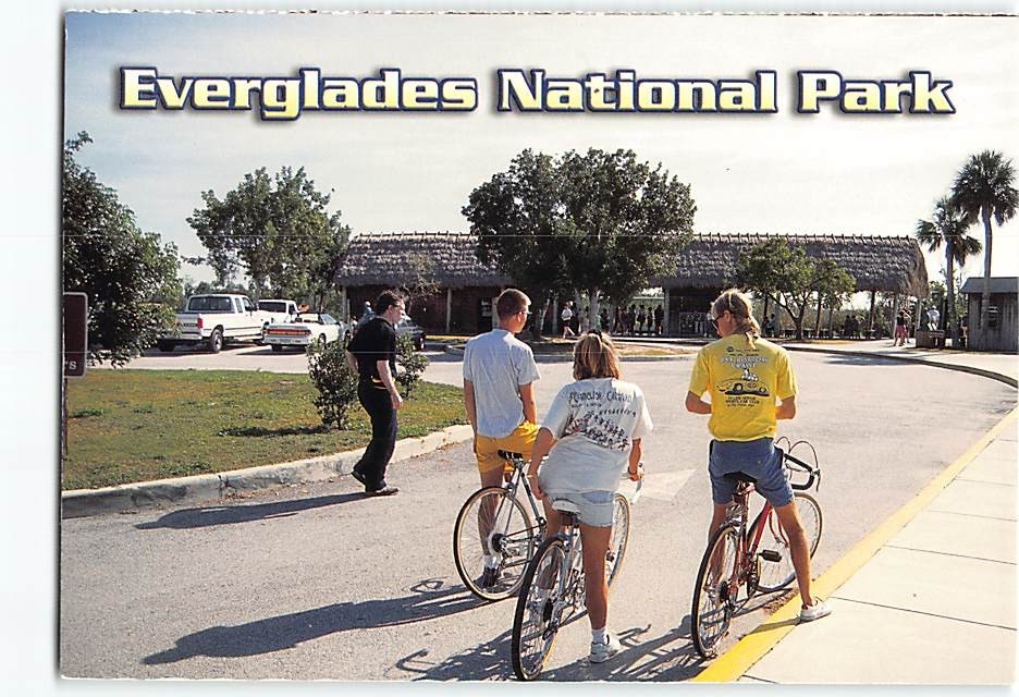 Postcard Bicycling The Everglades Florida USA