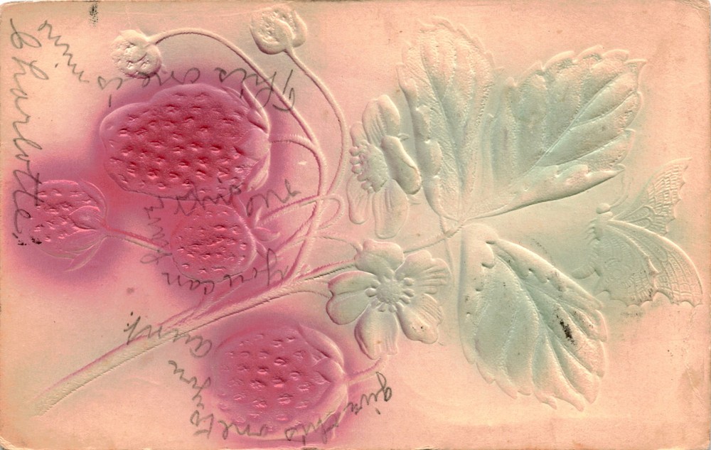 Vintage Postcard Charlotte Nella Miss Edith Thomas Danville IL