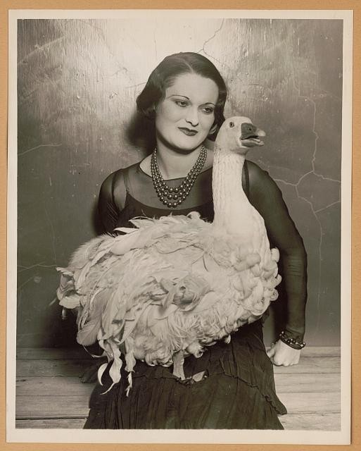 Photo:Madison Square Garden NYC 1930 Isla Bevan Floradora Sebastopol Goose