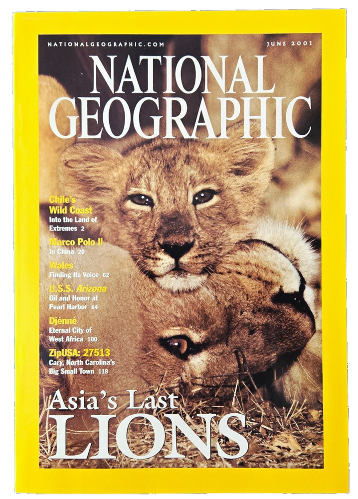 Asia's Last Lions Poaching Stories June 2001 National Geographic Magazine Lot