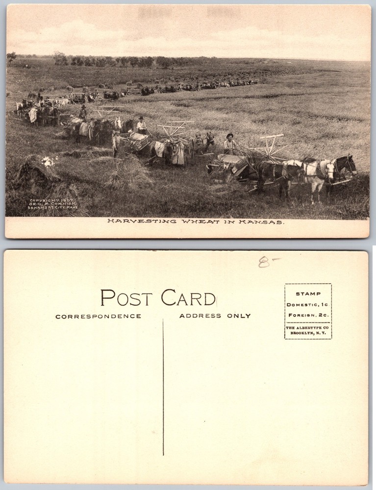 Kansas Wheat Harvesting Postcard