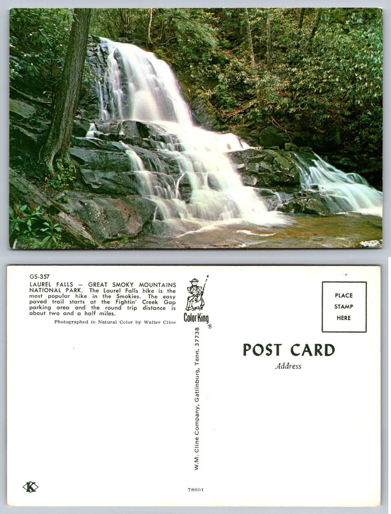 Laurel Falls Great Smoky Mountains NP Postcard W.M. Cline Color King