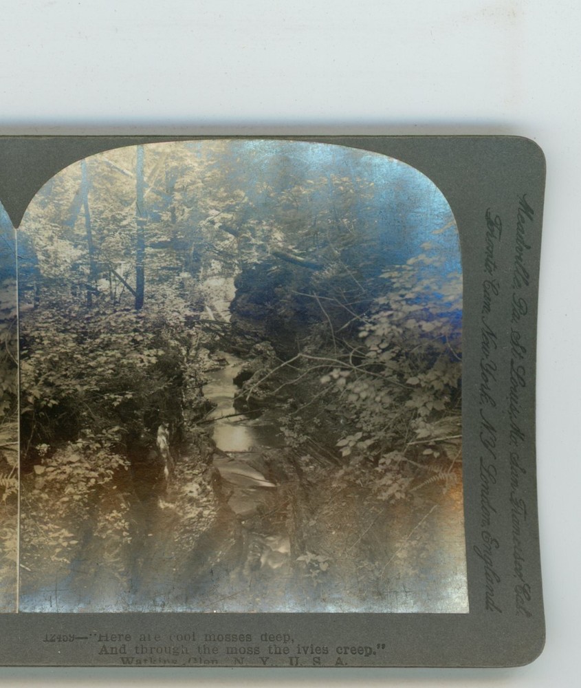 Head of Seneca Lake Watkins Glen New York NY Keystone Stereoview