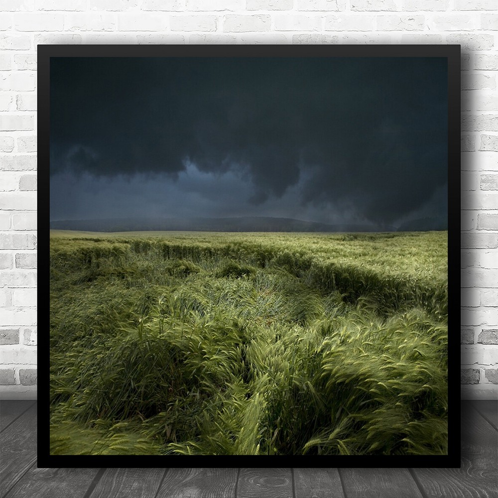 Rain Field Landscape Germany Swabian Alp Grass Wheat Green Sky Square Art Print