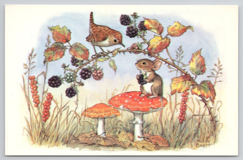 Molly Brett BLACKBERRY TIME Medici Postcard Wren Mouse Mushroom Nature Art