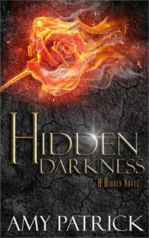 Hidden Darkness, Book 4 of the Hidden Saga (Paperback or Softback)