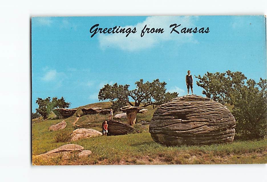 Postcard Mushroom Park Greetings from Kansas USA