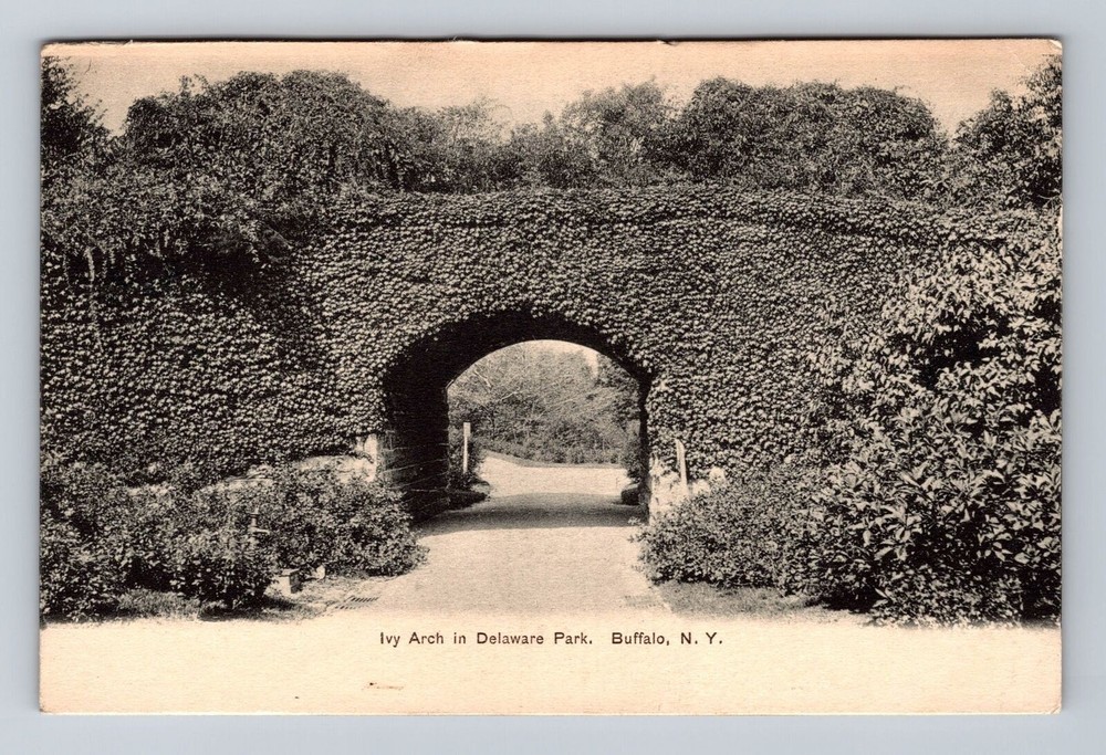 Buffalo NY-New York, Ivy Arch In Delaware Park, Antique, Vintage Postcard