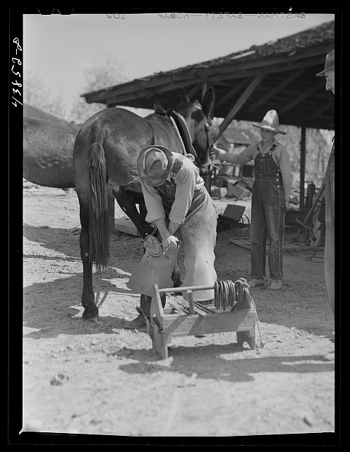 Glenloch Georgia 1941 Shoeing Mule Blacksmith Farrier Rural Farm Scene