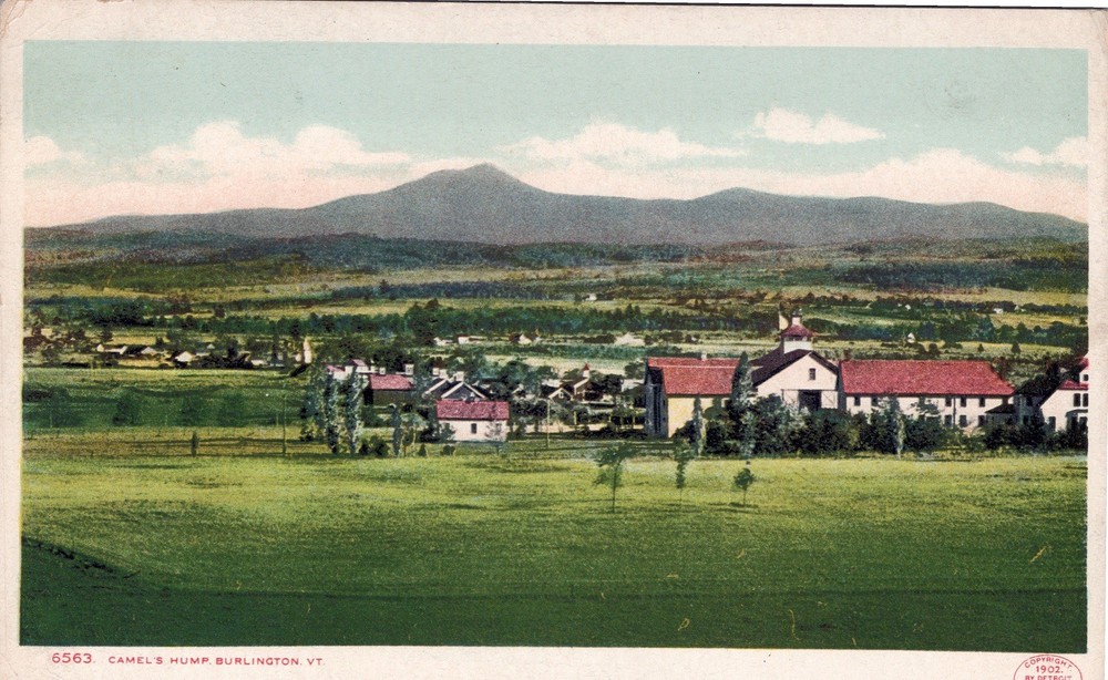 Camels Hump Burlington, VT 1905 Postcard