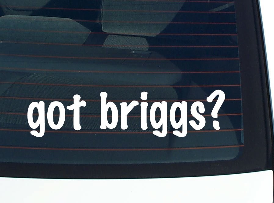 Got Briggs Funny Last Name Car Decal Bumper Sticker Vinyl Window Pride  