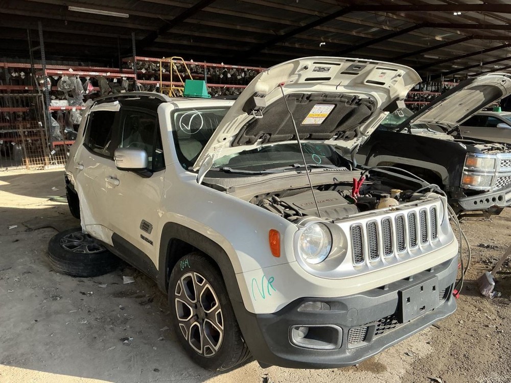 Grille Upper Painted Chrome Insert Fits 15-18 RENEGADE 4755228