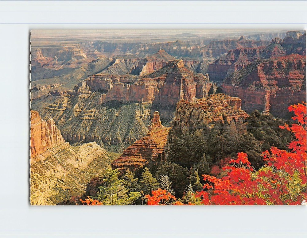 Postcard Autumn on the North Rim Grand Canyon National Park Arizona USA