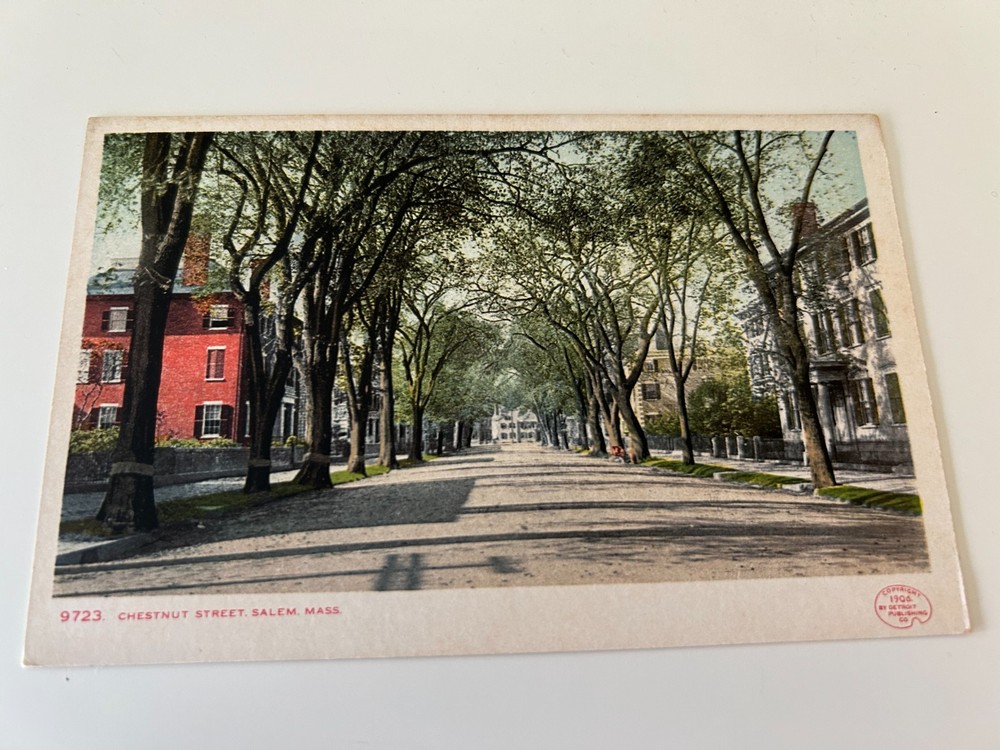 Chestnut Street Salem Massachusetts MA Postcard