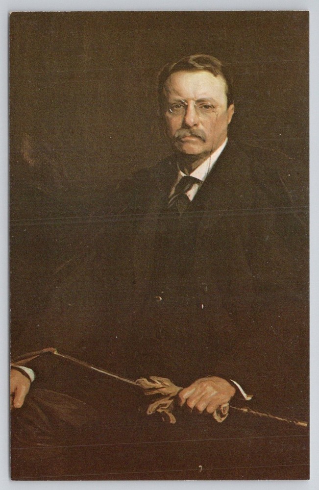 Theodore Roosevelt Portrait Postcard - 1908 Laszlo Painting Dexter Press