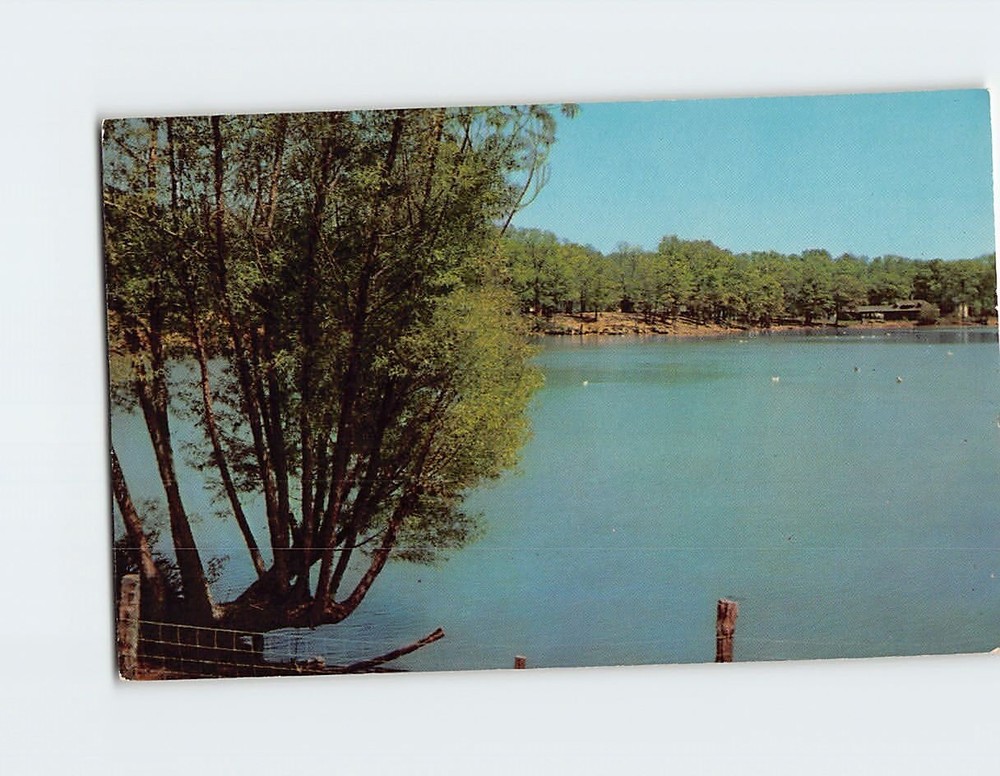 Postcard Mammoth Spring Arkansas USA
