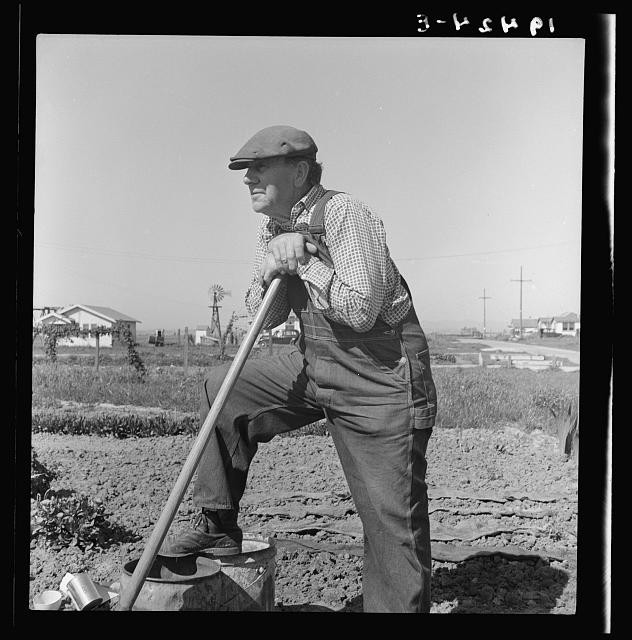Photo:Salinas California 1939 Farmer Lettuce Workers Settlement Plot