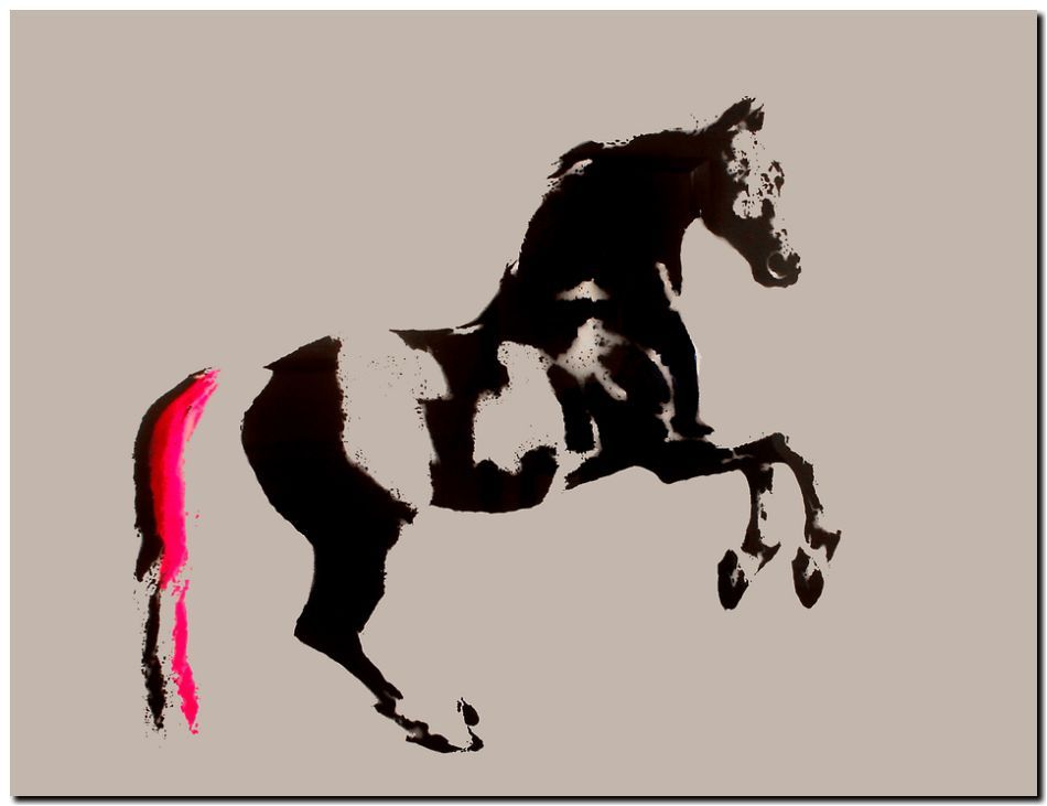 STREET ART *FRAMED* CANVAS PRINT Whistle jacket Horse 24x16