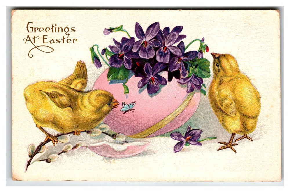 Vintage Easter Chicks Violets Postcard 1915 Stecher Quality Rochester