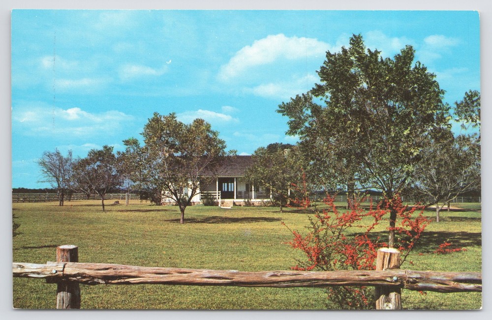 Johnson City Texas~President Lyndon B Johnson Birthplace~Vintage Postcard