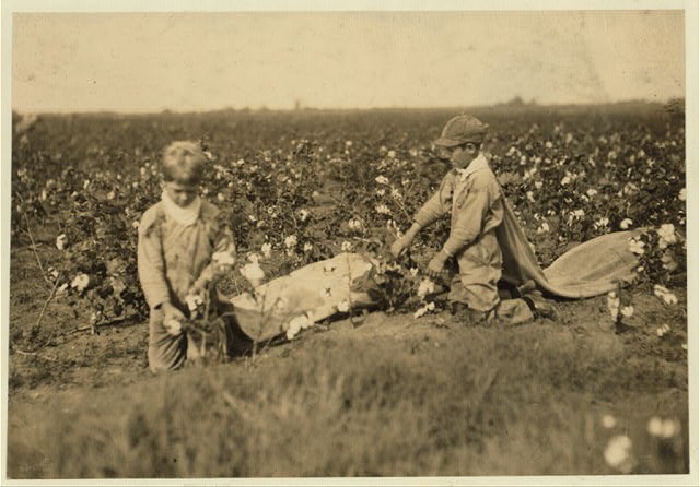 Photo:Waxahachie Texas 1913 Grady Carroll Cotton Picker Child Labor Boys
