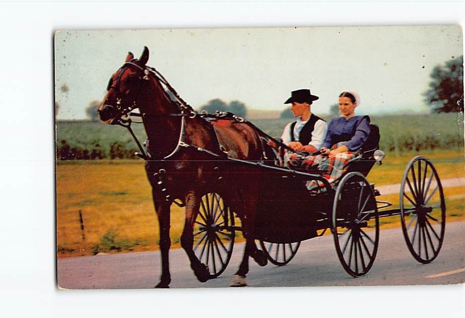 Postcard Amish Courting Buggy