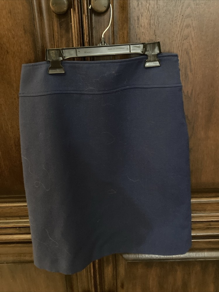 Isabella DeMarco Womens Blue Pencil Skirt Size 4