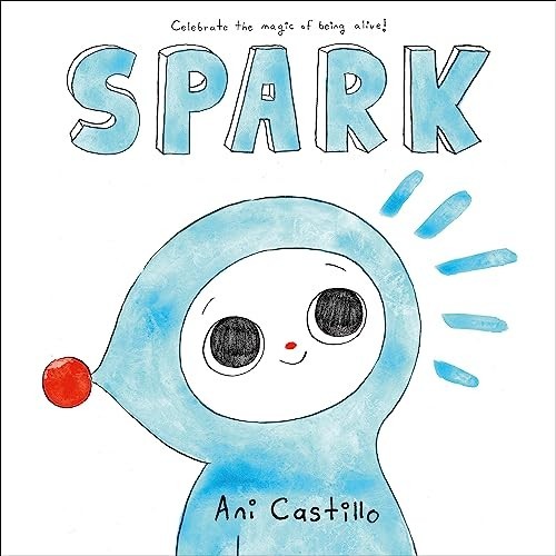 Spark - ACCEPTABLE