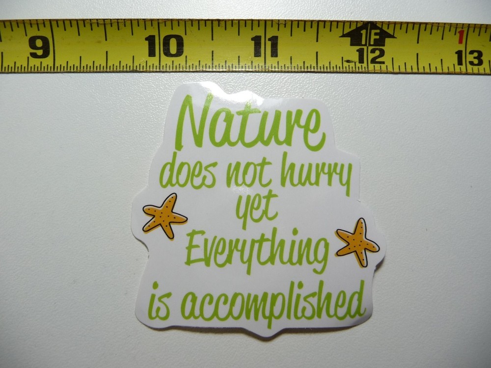 Starfish Nature Everything is Accomplished Motivational Decal Sticker
