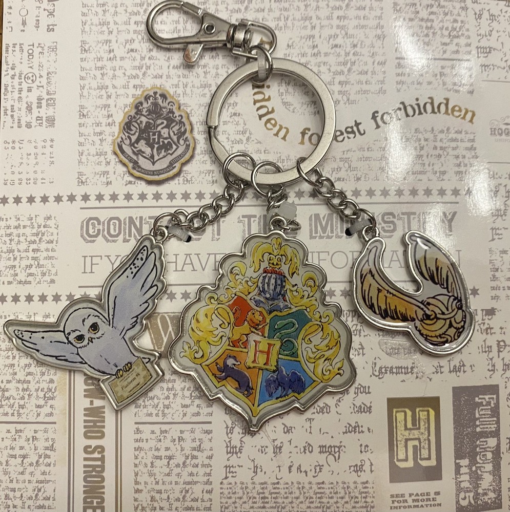 NEW Silver Tone WBEI Harry Potter Theme Metal & Enamel Key Chain Ring
