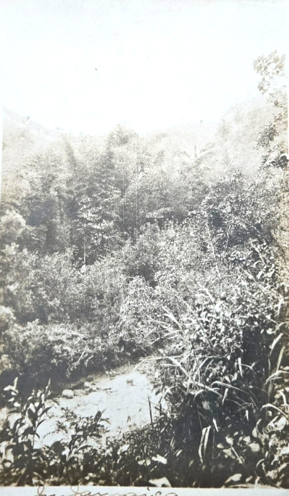 1911 RPPC Jamaica West Indies Real Photo Postcard Sent to New York