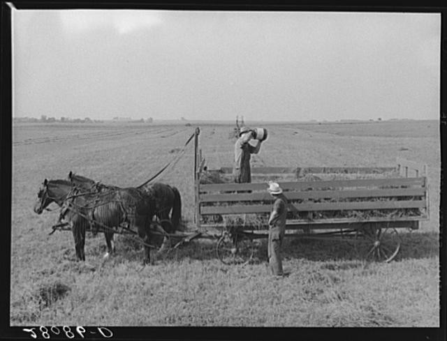 Kimberly Farm,FSA,Farm Security Administration,Jasper County,Iowa,IA,1939,4