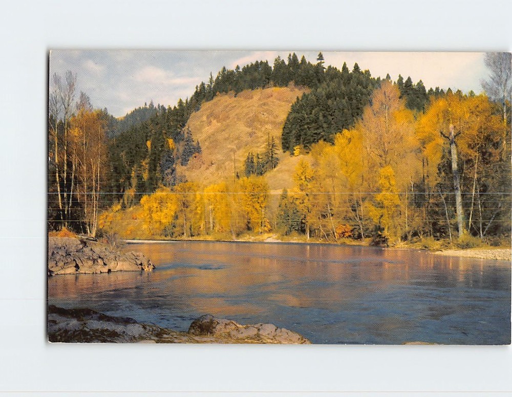 Postcard The Willamette River Oregon USA