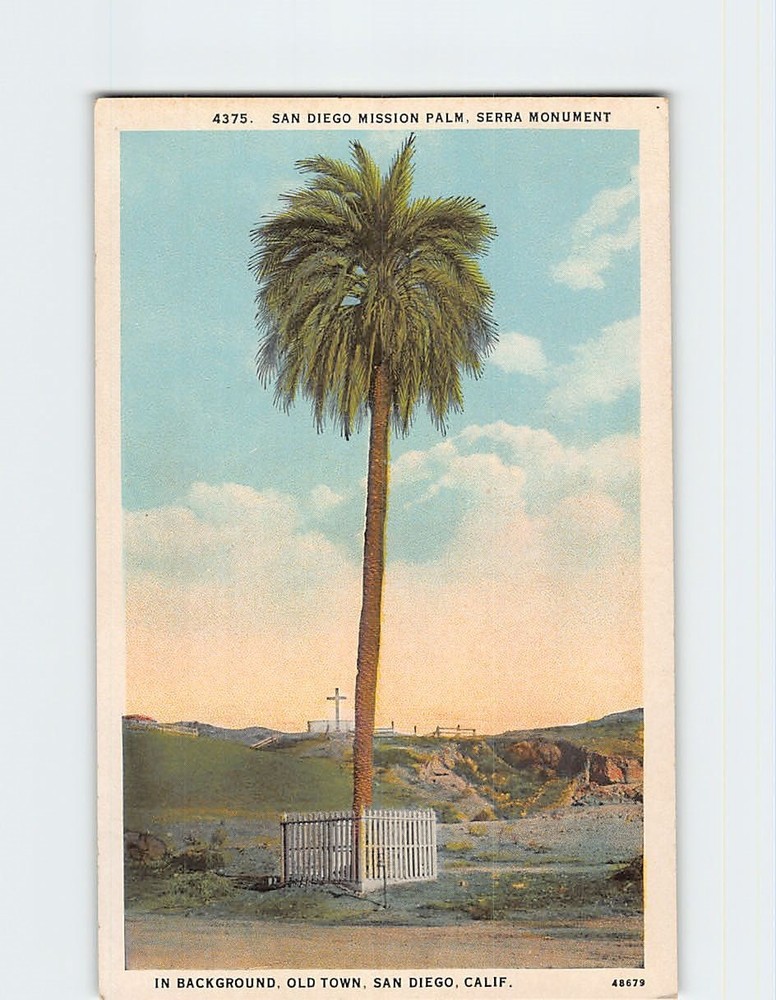 Postcard San Diego Mission Palm Tree Serra Monument Old Town California USA