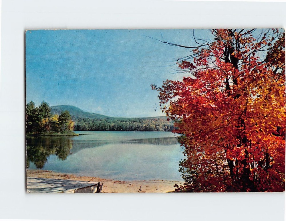 Postcard Loon Lake Freedom New Hampshire USA