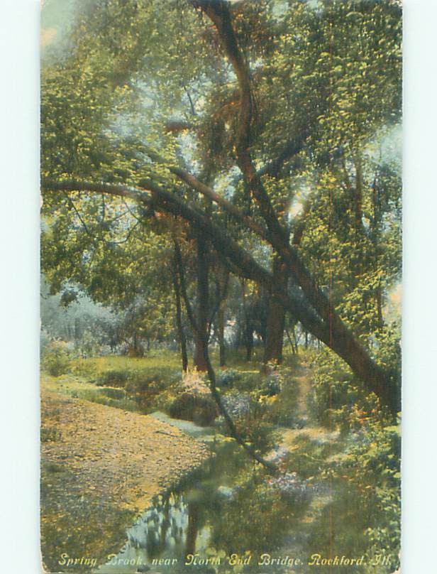 Divided-back NATURE SCENE Rockford Illinois IL m/09 AD8474