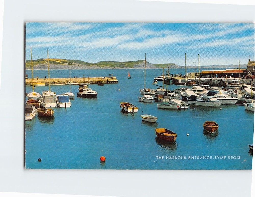 Postcard The Harbour Entrance Lyme Regis England