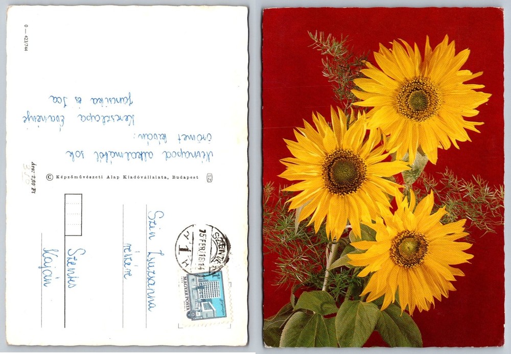 Vintage 1974 Hungarian Postcard Sunflowers Budapest Fine Art Posted