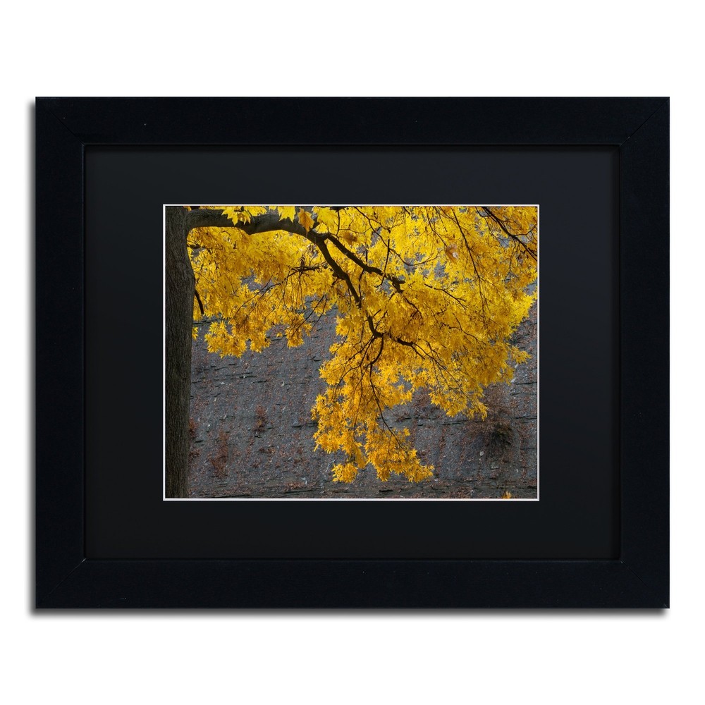 Golden Autumn Wall Art by Kurt Shaffer 11x14 Black Framed Canvas Decor
