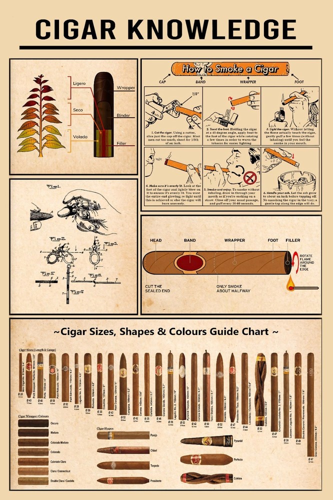 Cigar Knowledge Wall Art Poster No Frame