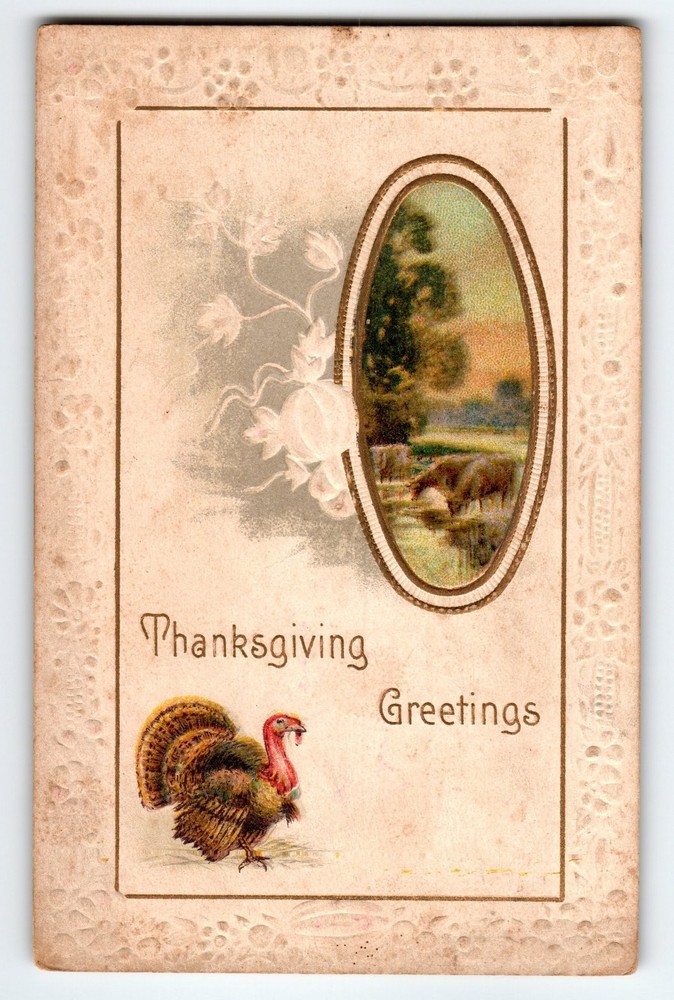 Vintage Thanksgiving Greetings Turkey Lithograph Embossed Postcard