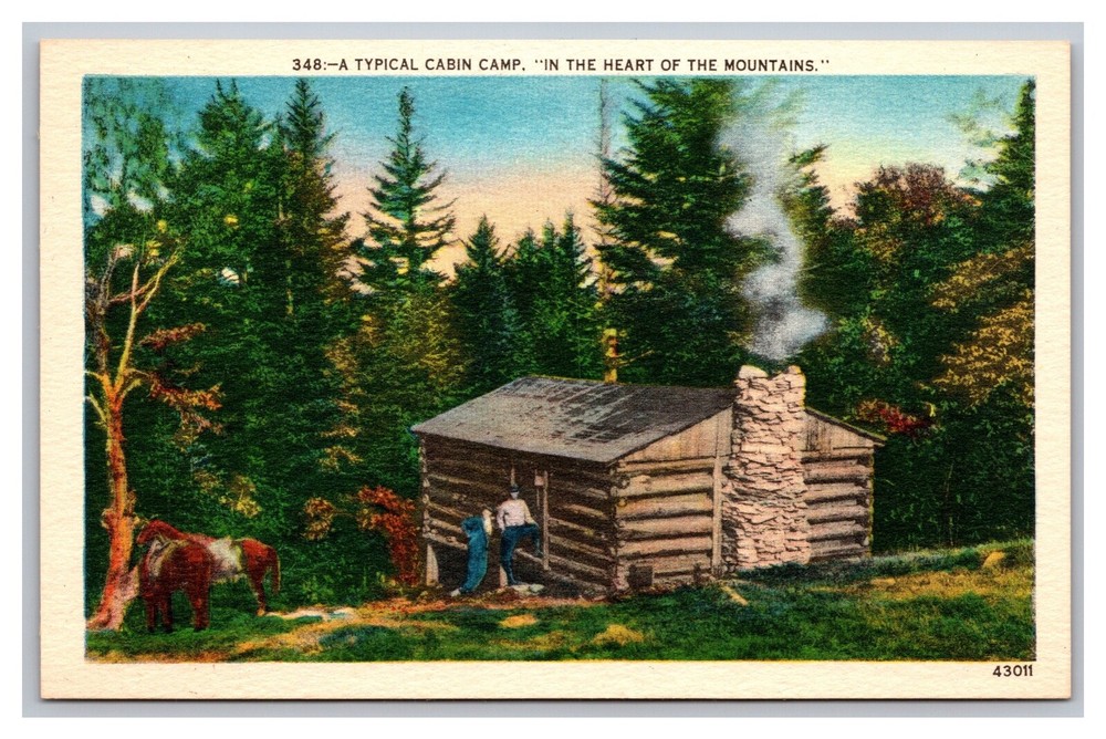 Typical Cabin Camp in Heart of Mountains Asheville Post Card Co. Linen Postcard