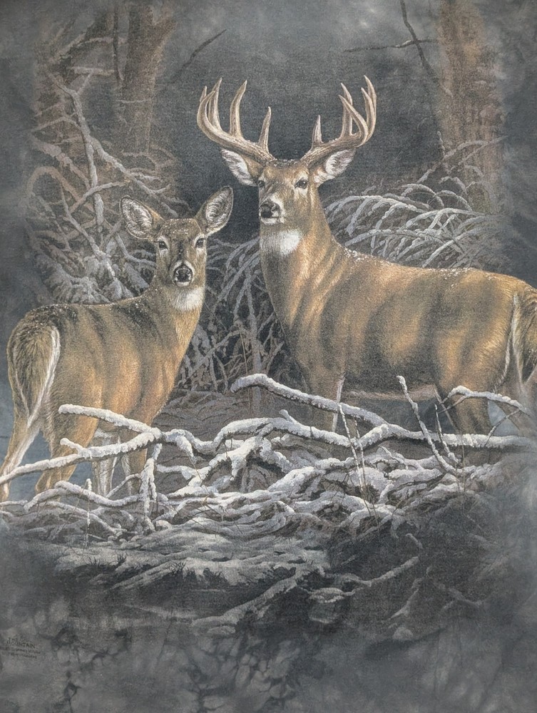 The Mountain Mens T-shirt  Vintage Gray Deer Buck Print On Back 2XL #6324