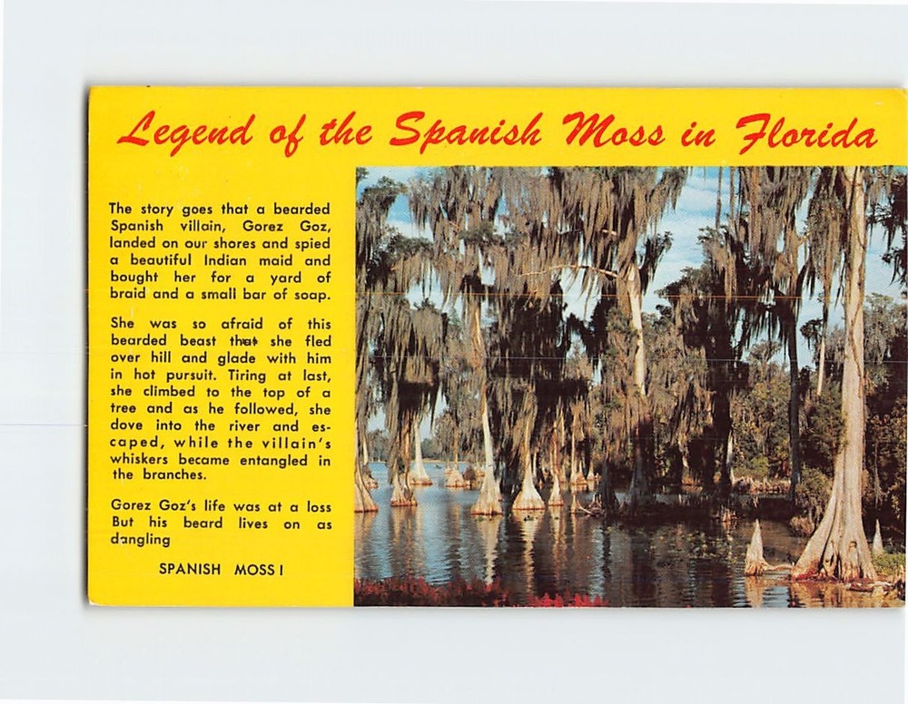 Postcard Legend of the Spanish Moss in Florida USA