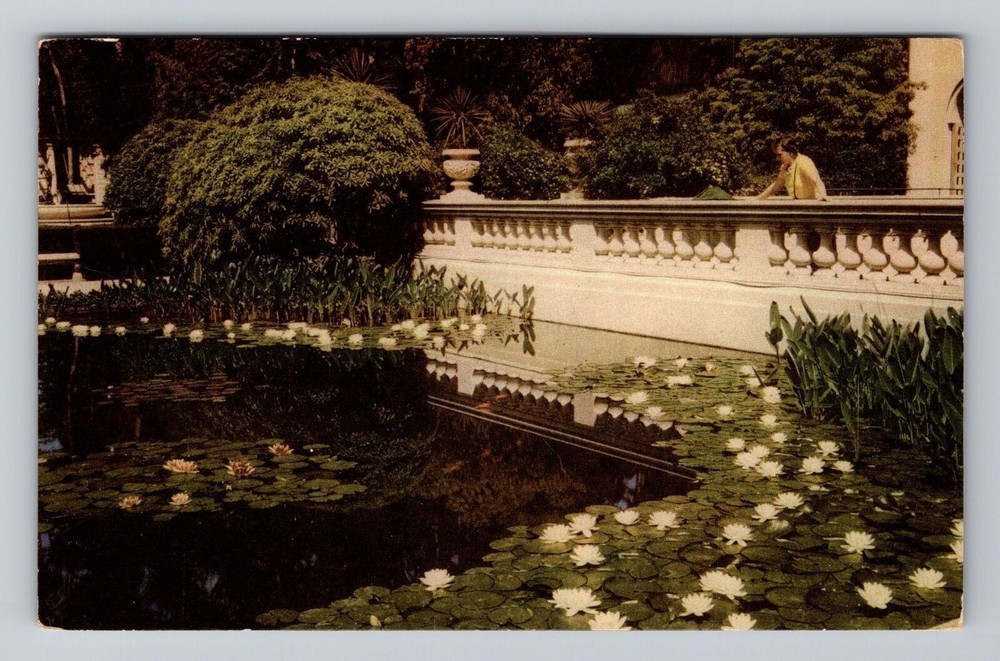 California CA San Diego Balboa Park Scenic View Vintage Postcard