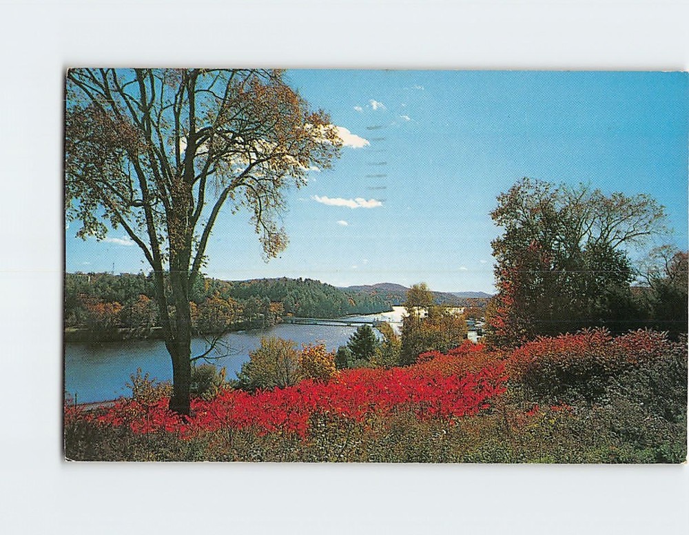 Postcard Bright Morning Showing the Connecticut River Vermont USA