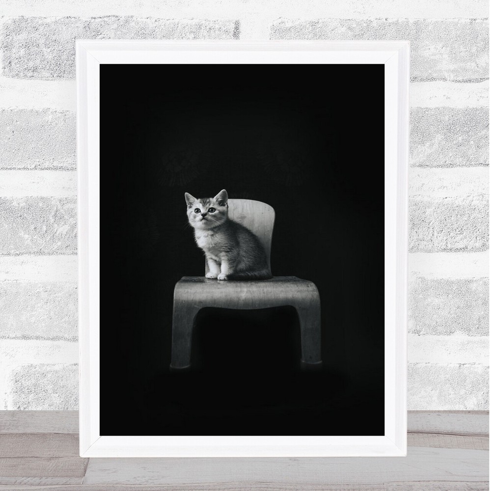 The Cat Animal Animals Cats Pet Pets Cute Chair Sit Wall Art Print
