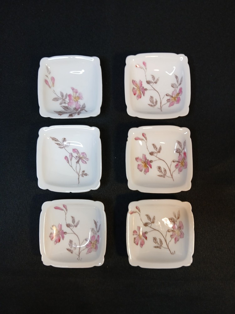 6 D & Co. Limoges Hand Painted Butter Pats 3
